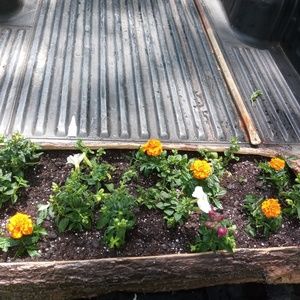 Meet your Posher, Sherry